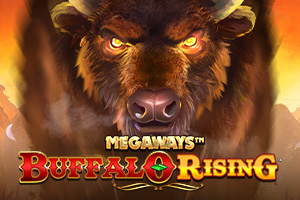 Buffalo Rising Megaways All Action