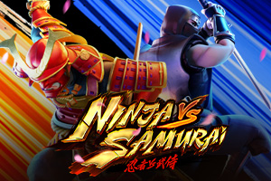 Ninja vs Samurai