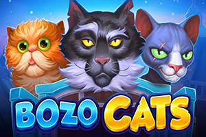 Bozo Cats by Playson