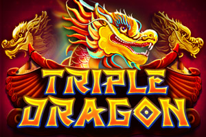 Triple Dragon by Platipus