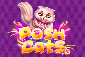Posh Cats by Platipus