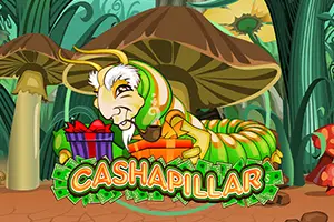Cashapillar