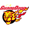 Guangdong Southern Tigers
