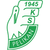 KS Pelikan Lowicz