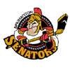 Belleville Senators